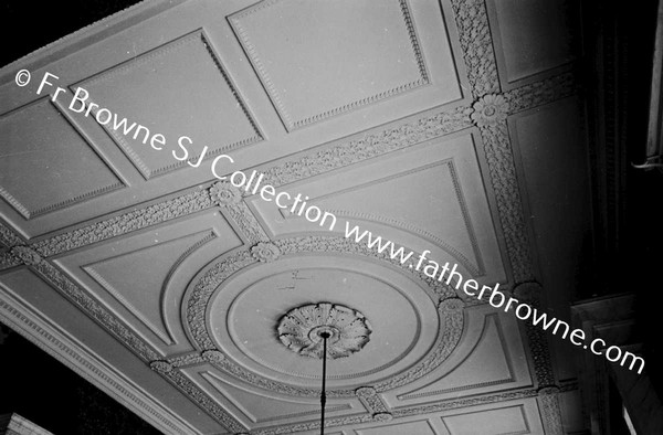 ST MARY'S CEILING OF HALL EMO COURT